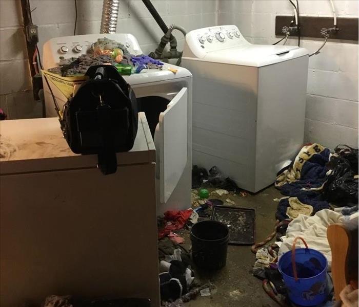 Sewage in basement 