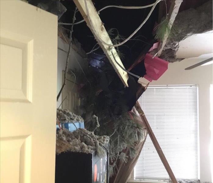 A tree collapsed during an ice storm damaging this home.  